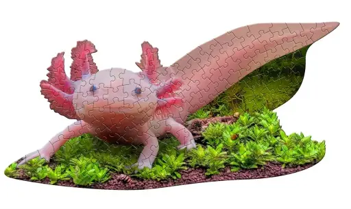 [SA4026] IAM LIL'AXOLOTL, 100 PIÈCES 
