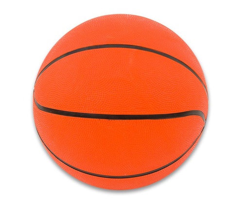 [9612] BASKETBALL-INITIATIONSBALL