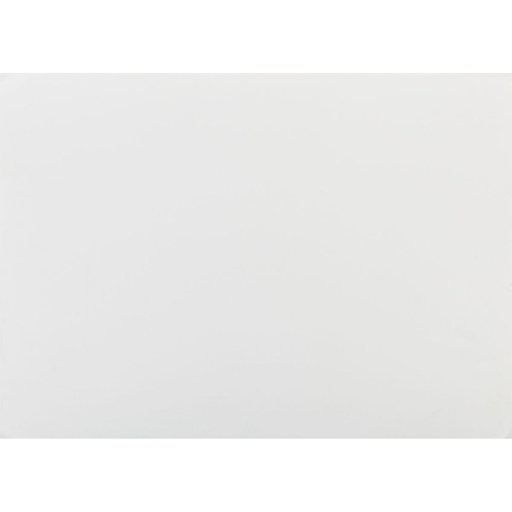 [2109] STEINBACH PAPIER 250G 55X73/BLATT
