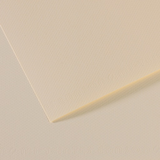 [212605] CANSON MI-TEINTE LYS PAPER