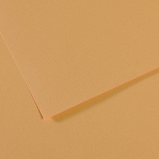 [212610] CANSON MI-TEINTE HEMP PAPER