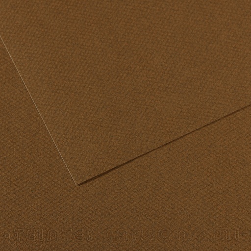 [212618] CANSON MI-TEINTE BRUIN PAPIER
