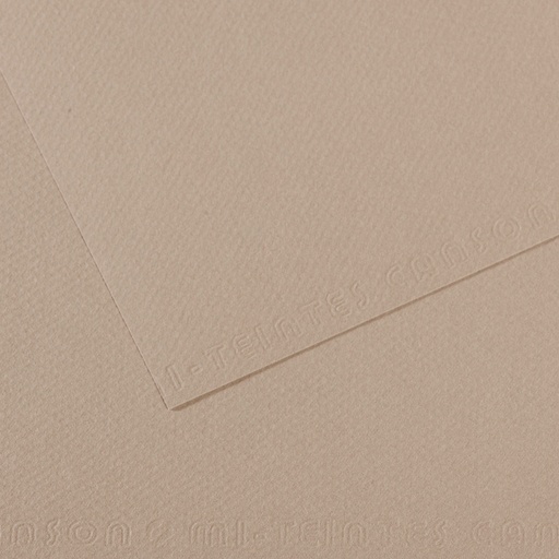 [212631] PAPIER CANSON MI-TEINTE GRIS FLANEL