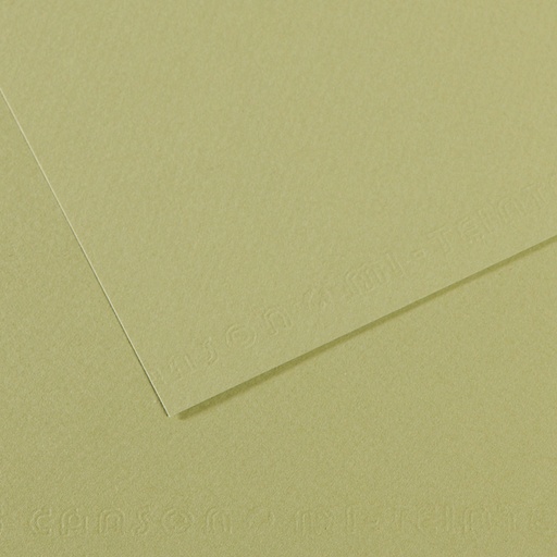 [212635] CANSON MI-TEINTE ALMOND GREEN PAPER
