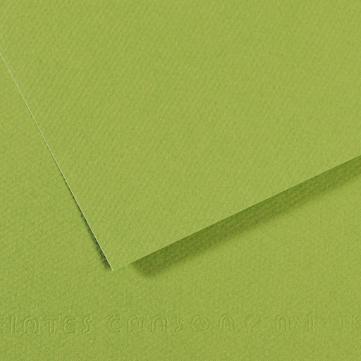 [212636] CANSON MI-TEINTE APPLE GREEN PAPER
