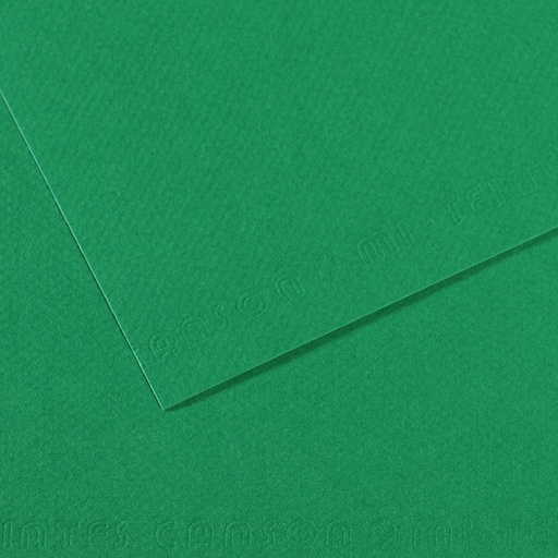 [212637] CANSON MI-TEINTE BILLIARD GREEN PAPER