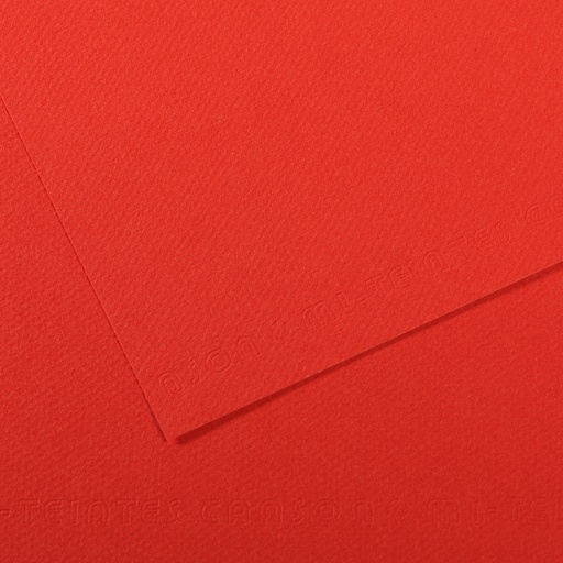 [212650] CANSON MI-TEINTE POPPY PAPER