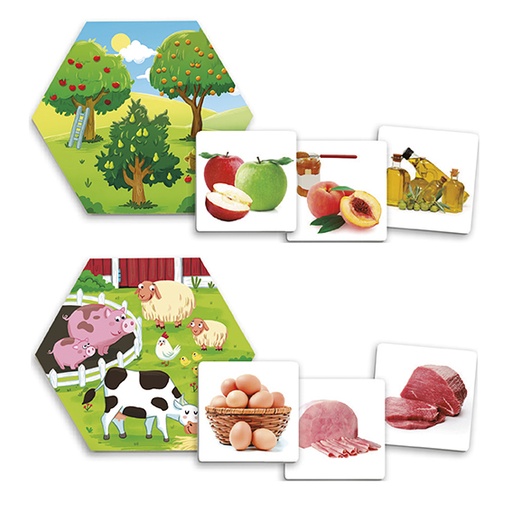 [V9203] WHERE DOES FOOD COME FROM?