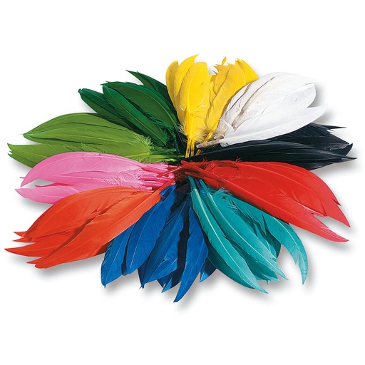 [8283] INDISCHE VEREN 10 TOT 20 CM, 100 GR