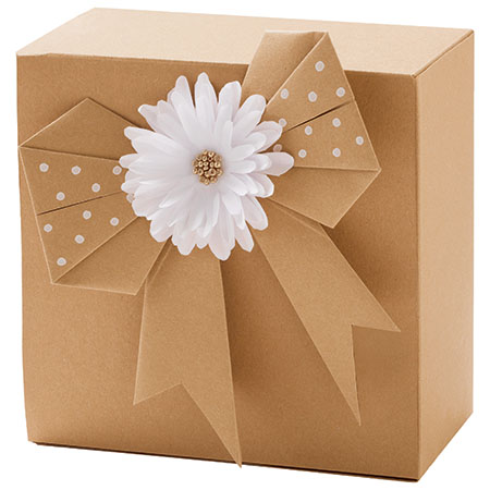 [22432] PAPIER KRAFT A4 120 G., 100 FEUILLES