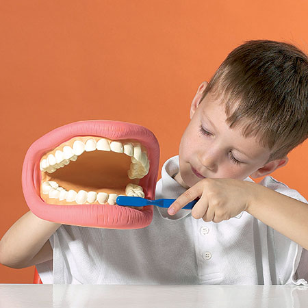 [6708] GIANT DENTURE