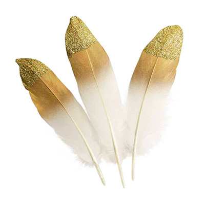 [82754] PLUMES À BOUT DORÉ, LE SACHET DE 10