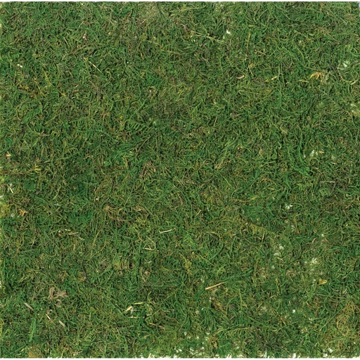 [8158] CARRÉ D'HERBE, 30X30 CM
