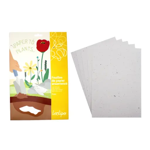 [99054] PAPIER ENSEMENCÉ, 5 FEUILLES-A4